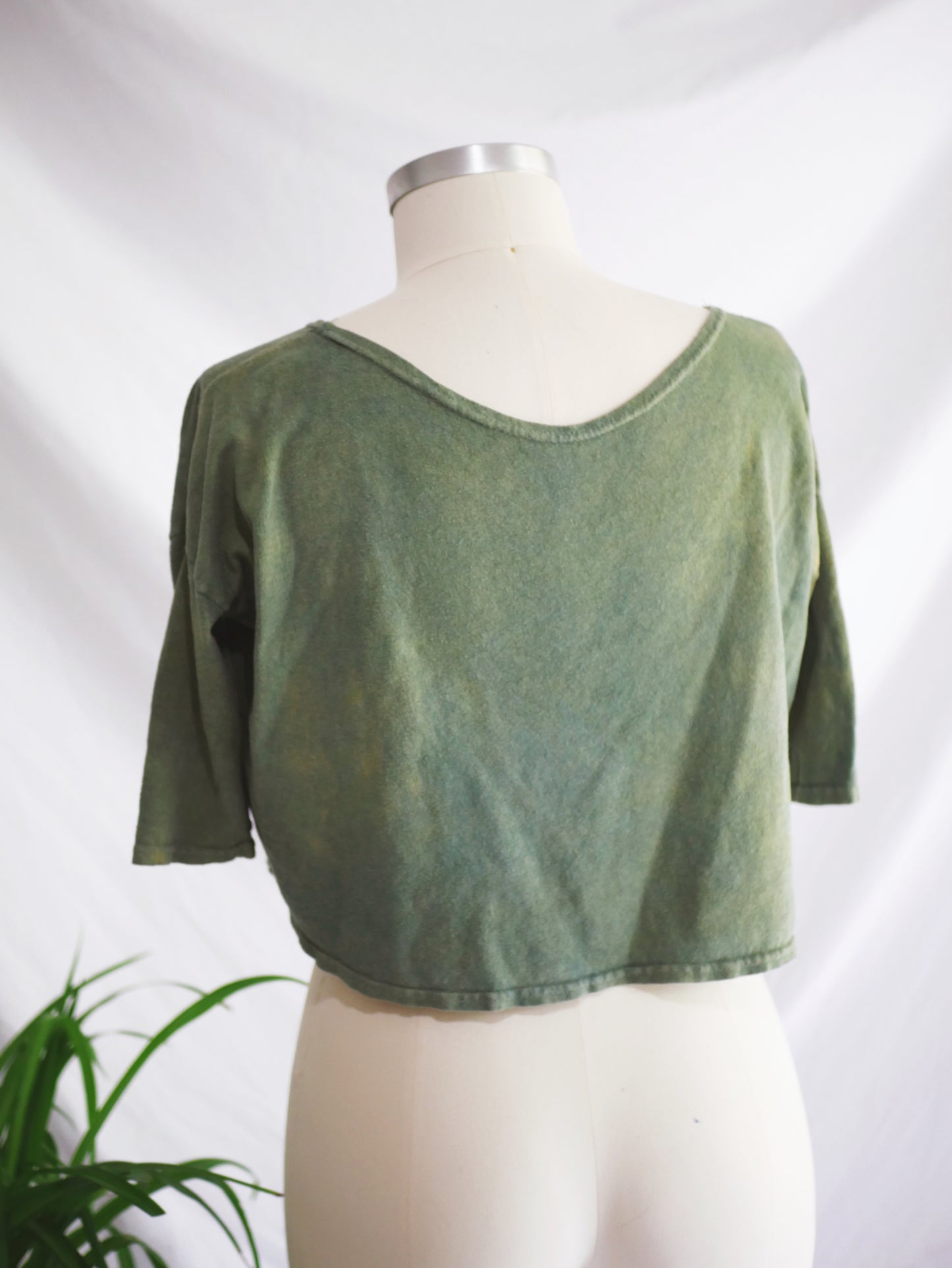 FERN PERFECT CROP - Medium