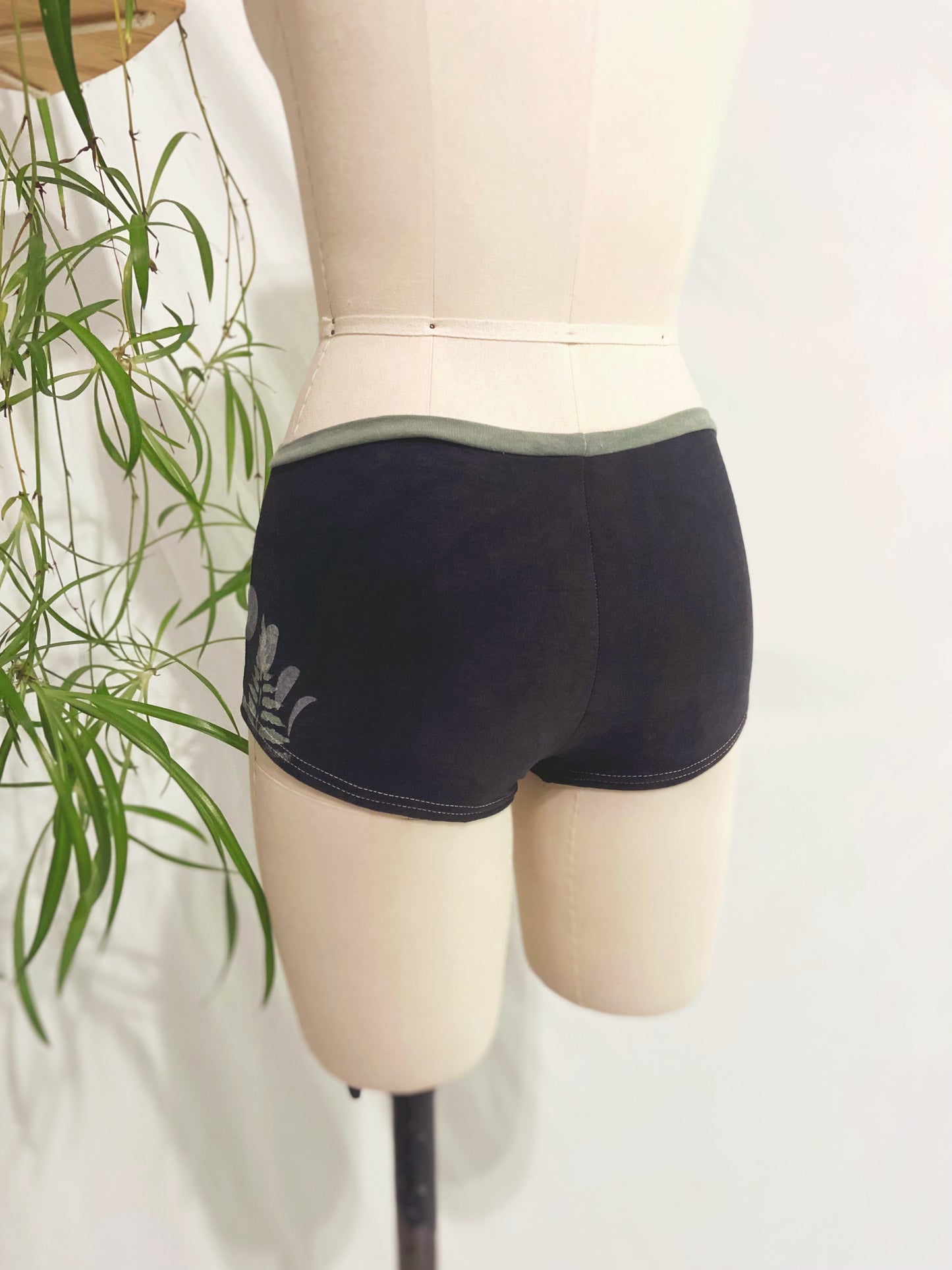 LUNAR FERN BRIEFS - Small