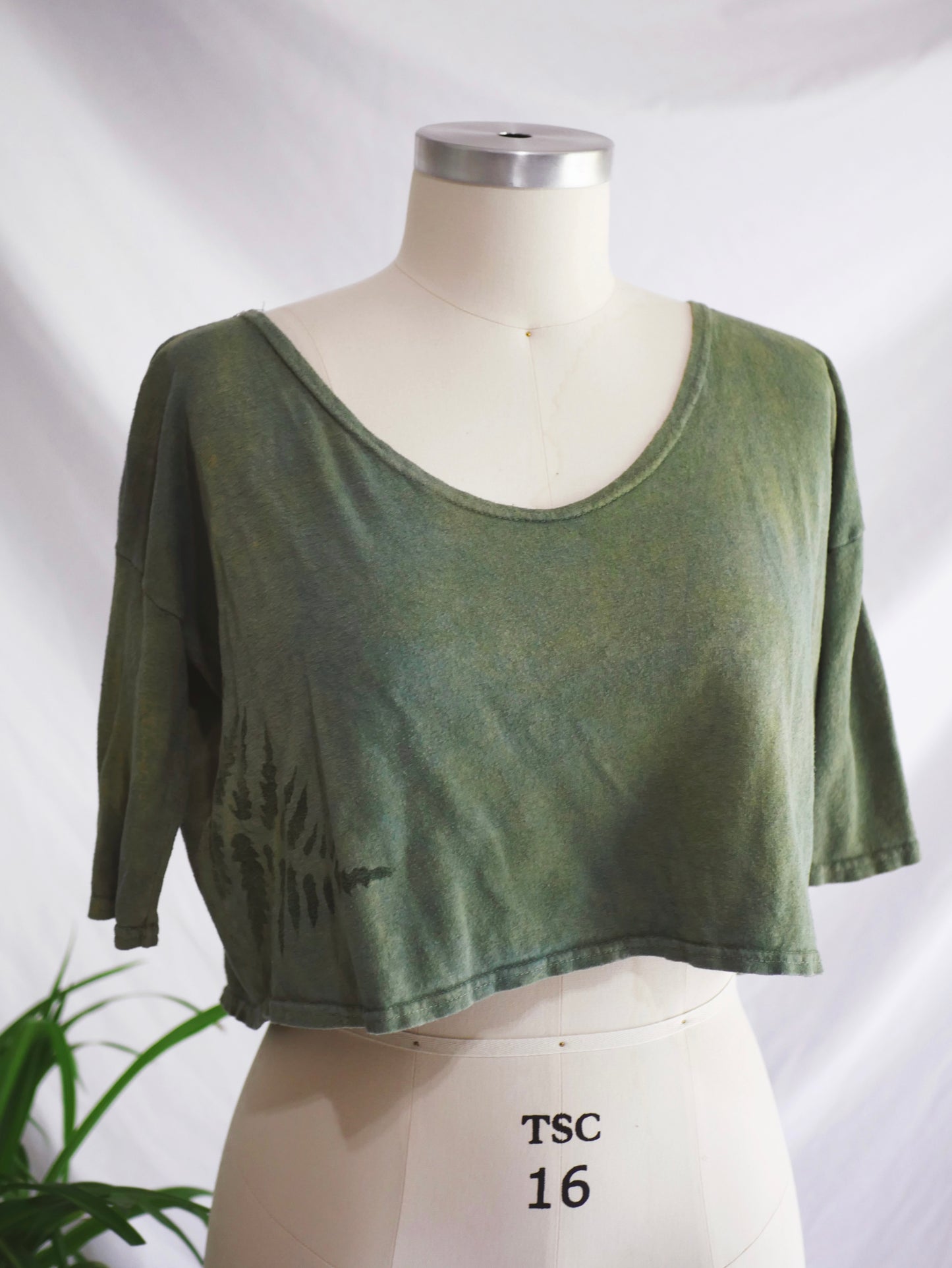 FERN PERFECT CROP - Medium