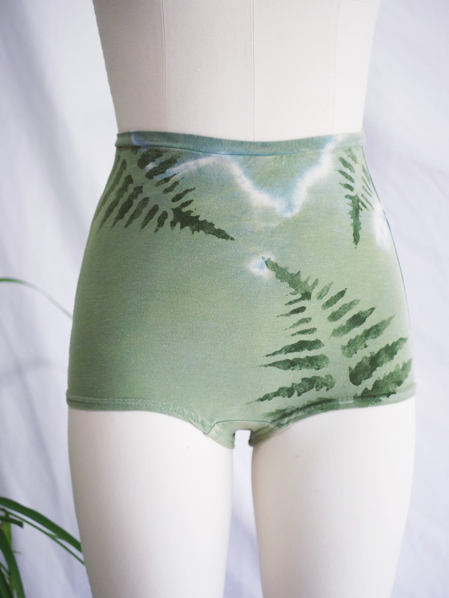 FERN BRIEFS  - XSmall