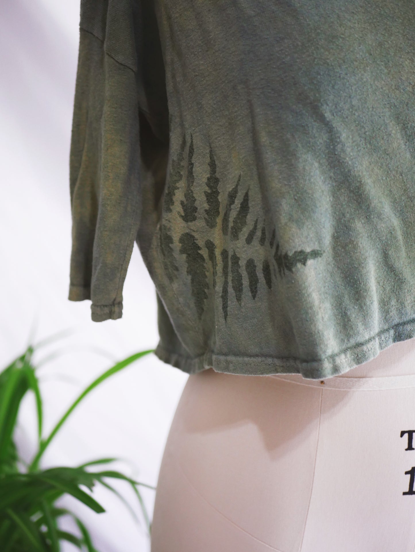 FERN PERFECT CROP - Medium