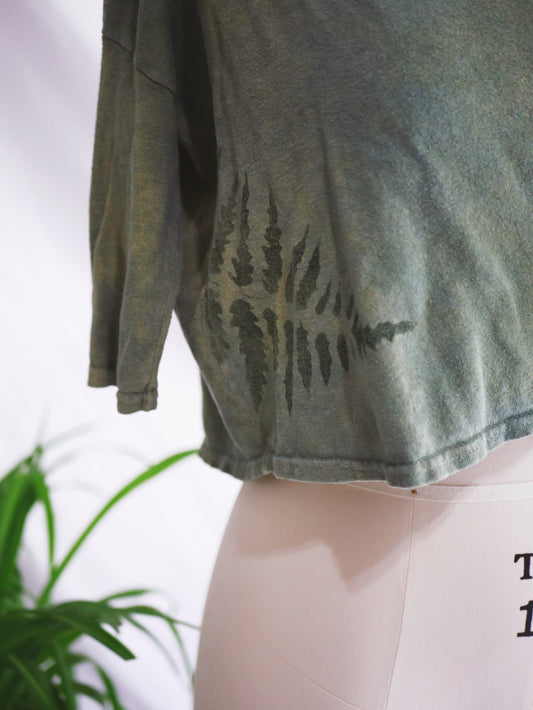 FERN PERFECT CROP - Medium